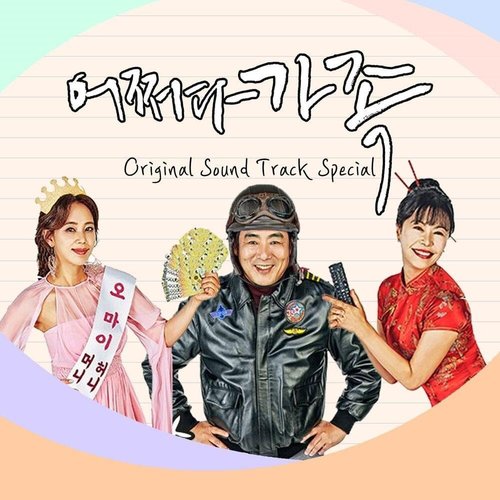 어쩌다 가족 (Original Television Soundtrack) Special Album