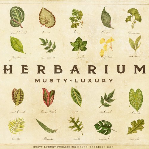 Herbarium