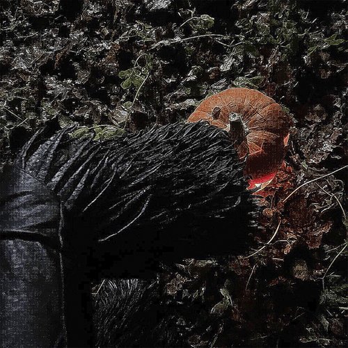 dj pumpkin - Single