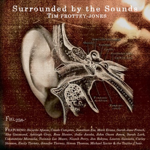 Surrounded by the Sounds