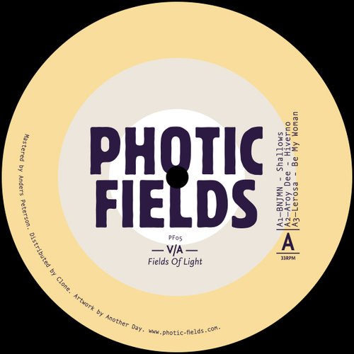 Fields Of Light