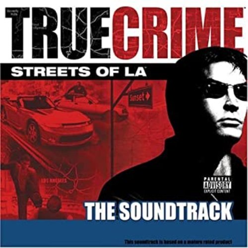 TRUE CRIME - Streets Of L.A.