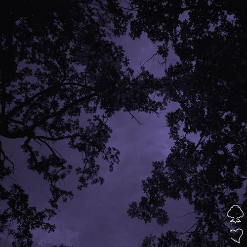 Sleep Tight
