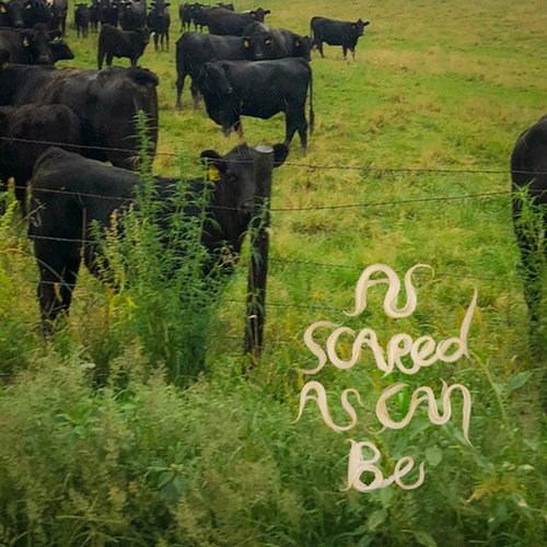As Scared As Can Be