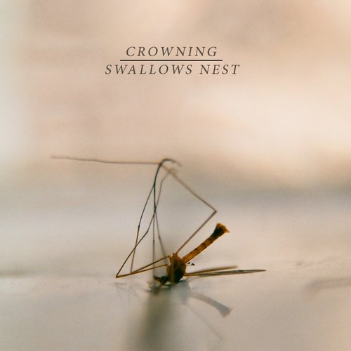 Split with Swallows Nest