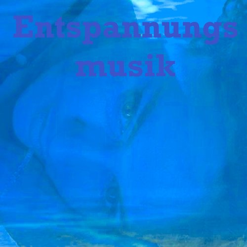 Entspannungsmusik — Entspannungsmusik Last.fm