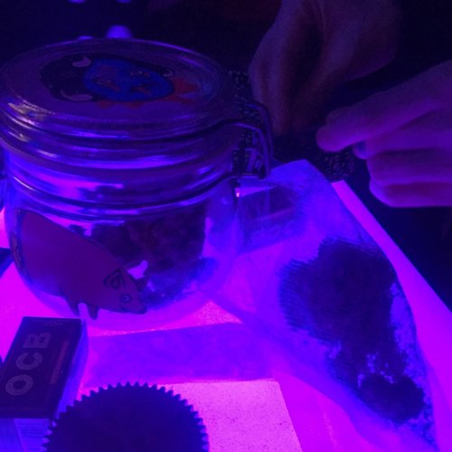 Digital Healing, Vol. 2