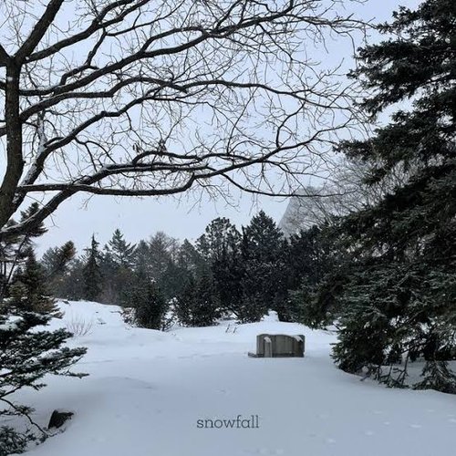 Snowfall
