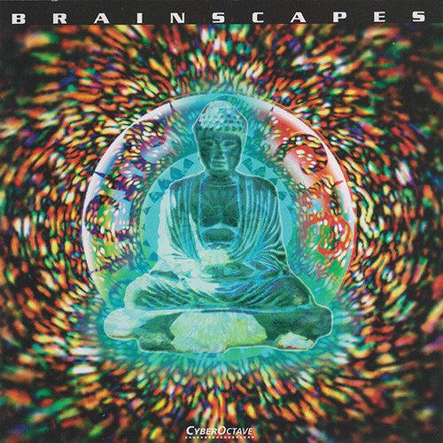 Brainscapes