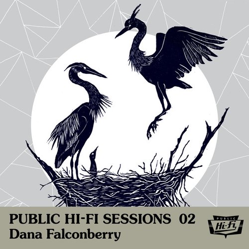 Public Hi-Fi Sessions 02