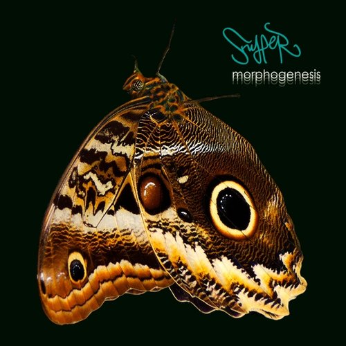 Morphogenesis
