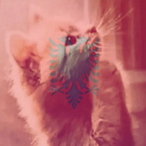 ShldveKn2wnn