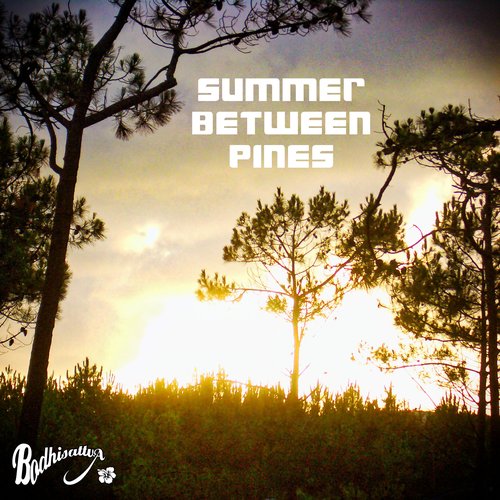 Summer Between Pines