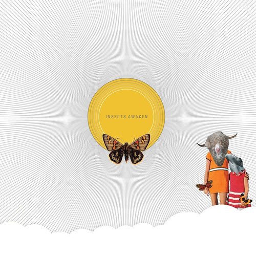 Insects Awaken