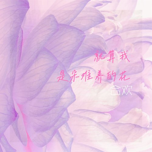 就算我是朵难养的花