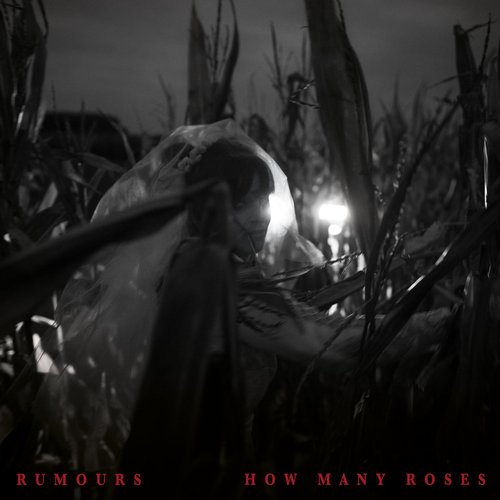 How Many Roses - EP