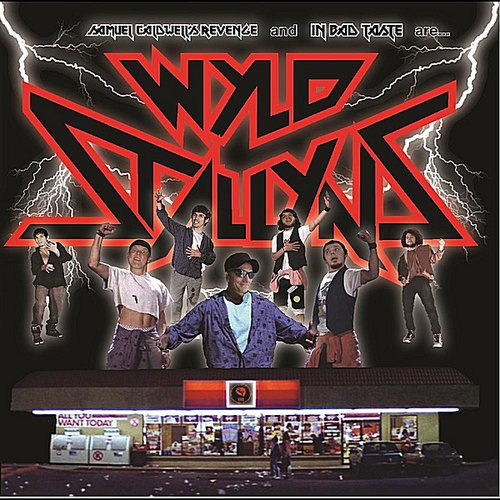 Wyld Stallyns