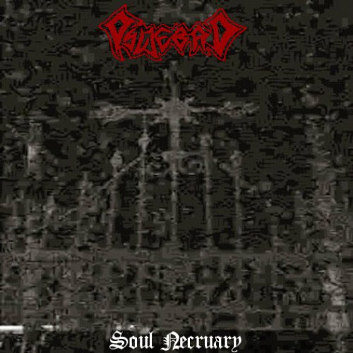 Soul Necruary
