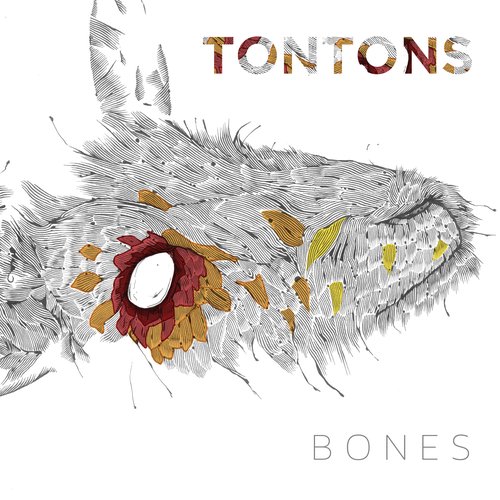 Bones