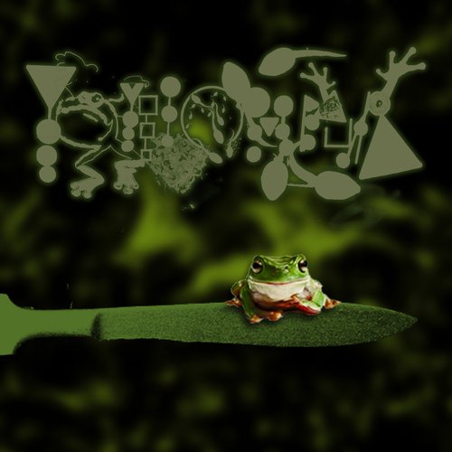 Amphibians Performing Surgery III: Murrexic Behaviour