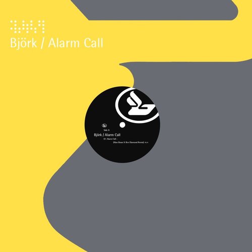 Alarm Call (4)