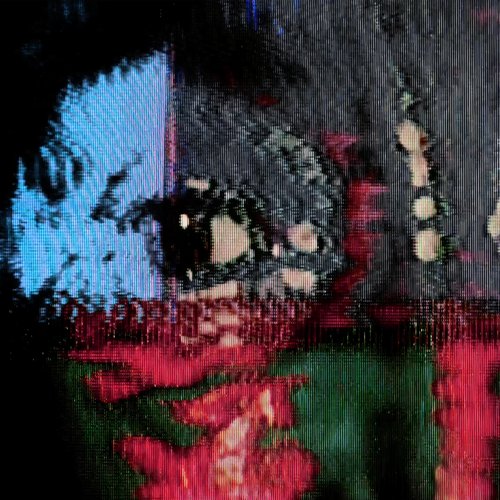 Homeostasis - Single