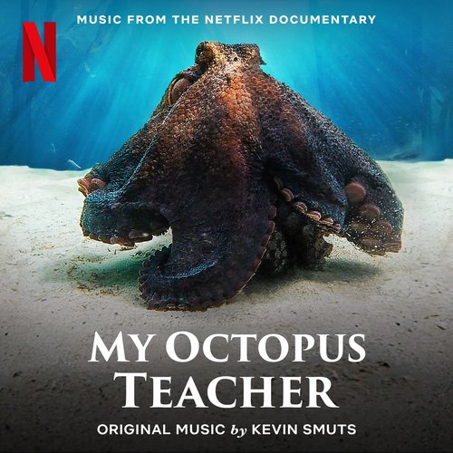 My Octopus Teacher (Music from the Netflix Documentary)