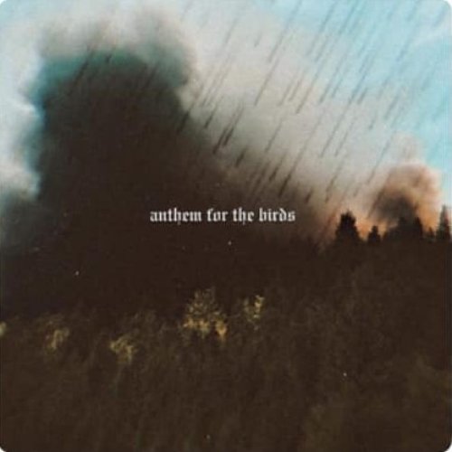 Anthem For the Birds - Single