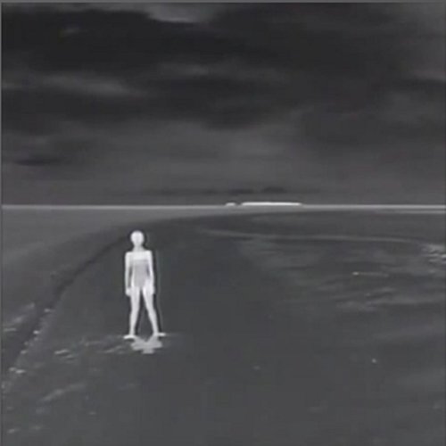 Void Wanderers - Single