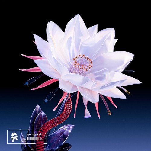 Undefined - Single