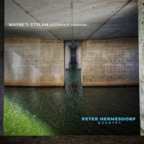Wayne's Stream (Alternate Version)