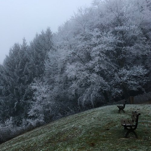 Cold