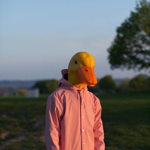 DUCK!