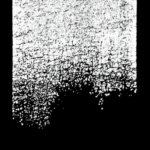 Noumenon