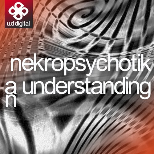 An Understanding