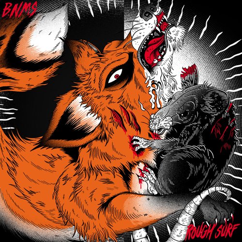 Bnms/Rs - Single