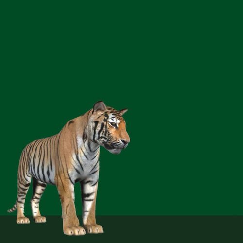 CGI Tiger - EP