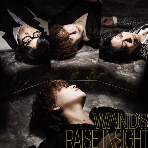 RAISE INSIGHT - Single