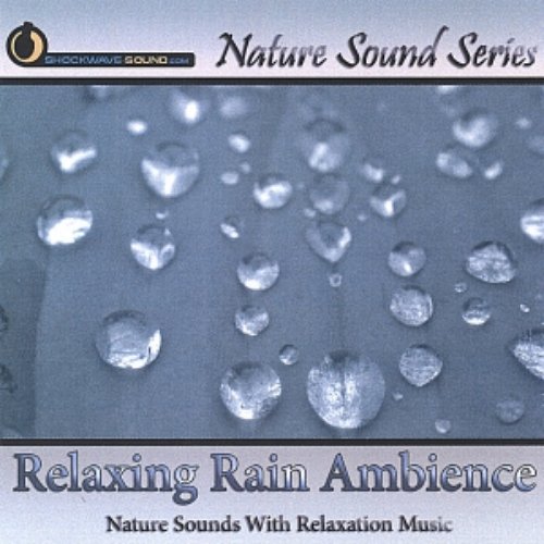 Relaxing Rain Ambience (With relaxing music)