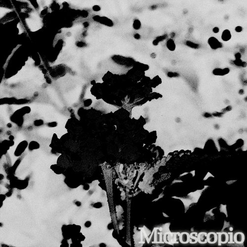 Microscopio