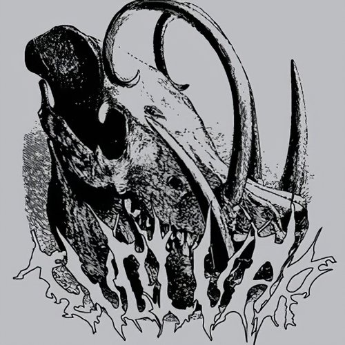 Demo