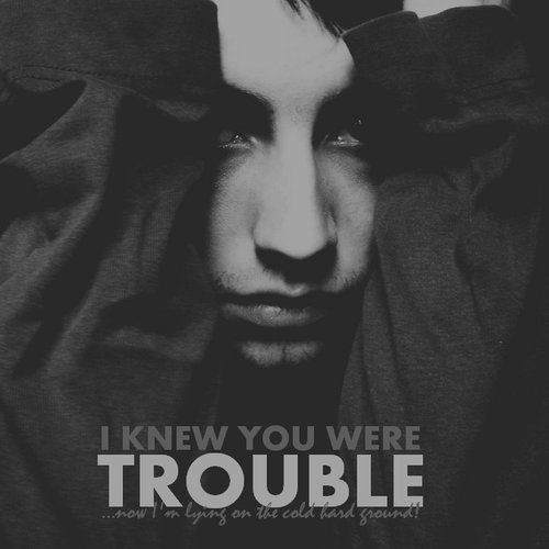 I Knew You Were Trouble