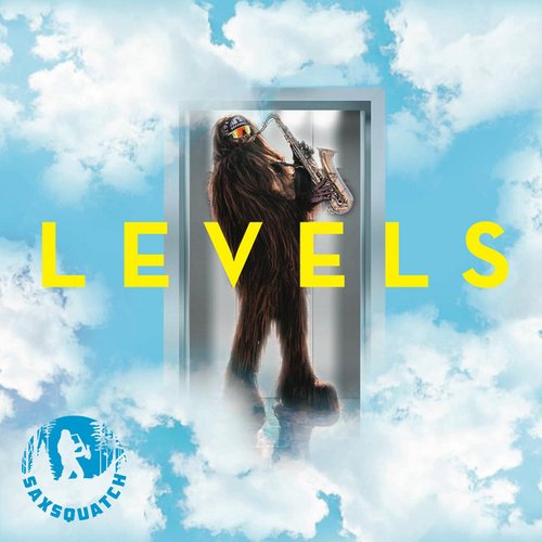 Levels