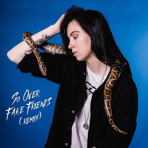 So Over Fake Friends (Remix)