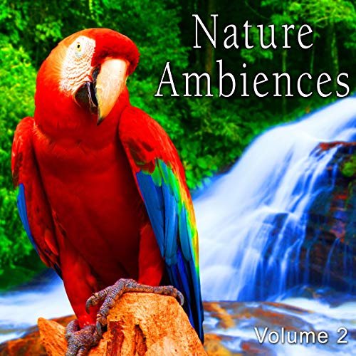 Nature Ambiences, Vol. 2