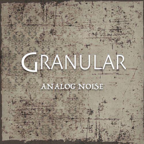 Analog Noise