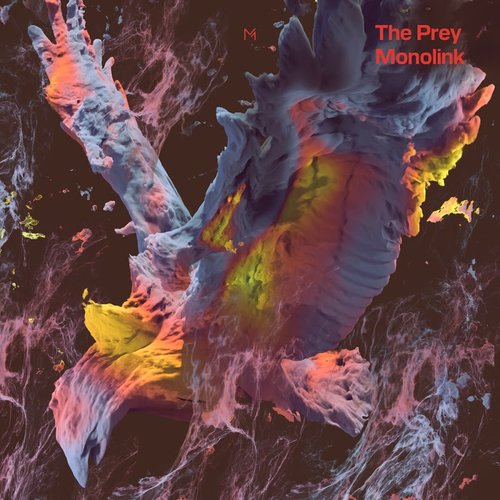 The Prey - Single