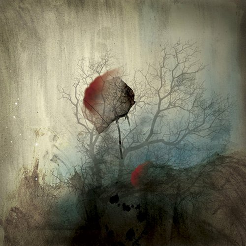 (Never) Never Again Land