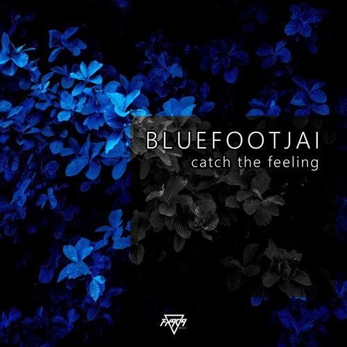 Catch the Feeling