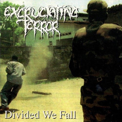 Divided We Fall